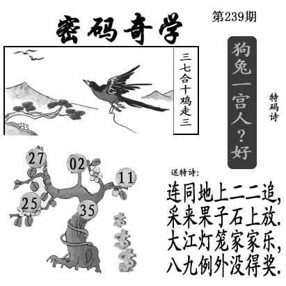 图片8
