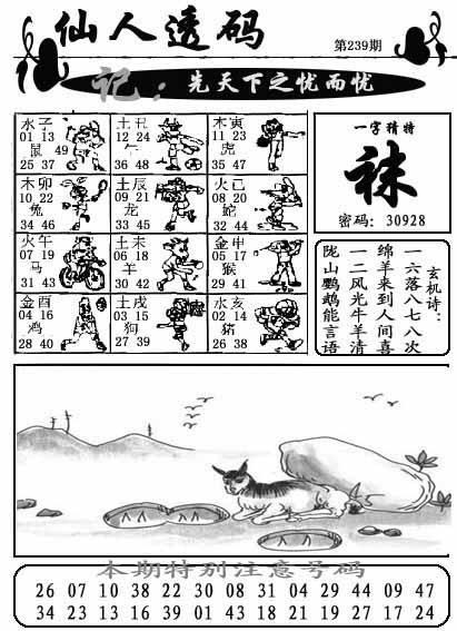 图片9